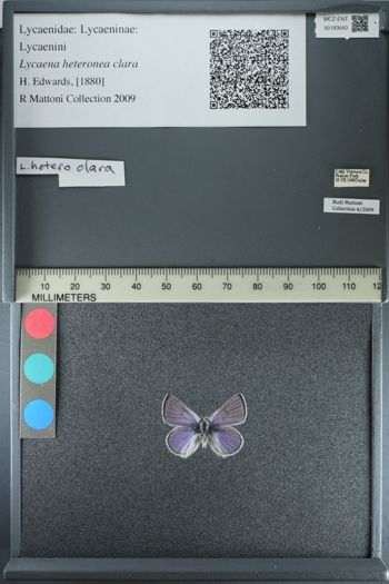 Media type: image;   Entomology 183643